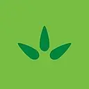 Manning & Napier logo