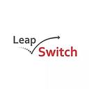 Leapswitch Networks logo