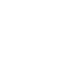 Alpine Eagle logo