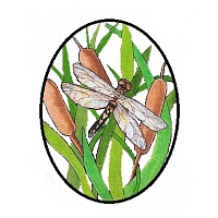 Stormwater Operations Specialists logo