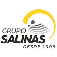 Grupo Salinas logo