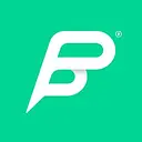 Peter Park System GmbH logo