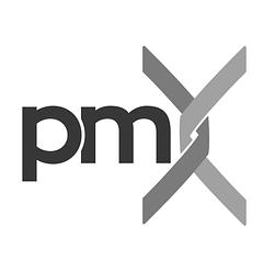 pmX Group logo