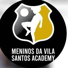 Meninos da Vila Santos Academy logo