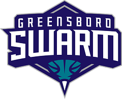 Hornets Basketball Brand logo