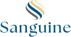 Sanguine Technology Solutions logo