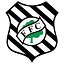 Figueirense Futebol Clube logo