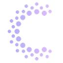 Candidate Connections logo