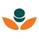 Candor Consulting & Diagnostics logo