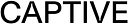 Captive Cabinetmaking logo