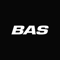 BAS Group logo
