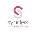 Syndex logo