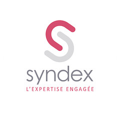 Syndex logo