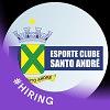 Esporte Clube Santo André logo