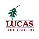 Lucas Tree Experts logo