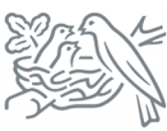 Nestlé Centroamerica logo