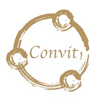 Convit Central GmbH logo