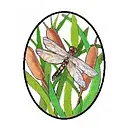 Stormwater Operations Specialists logo