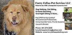 Furry Fellas Pet Service logo