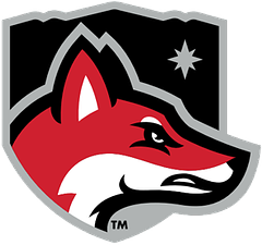 North Greenville University logo