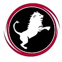 Nemean Solutions, LLC logo
