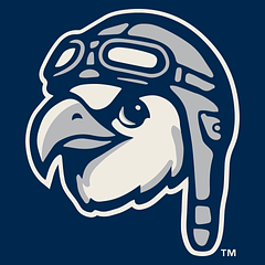 Wilson Warbirds  logo