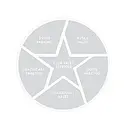 Five Star Valet logo