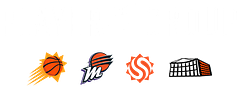 Player 15 Group logo
