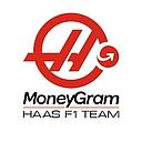 Haas F1 Team logo