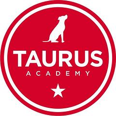 Taurus logo