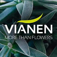 Vianen Flowers logo