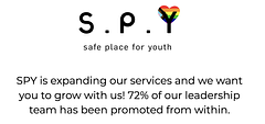 Safe Place For Youth logo