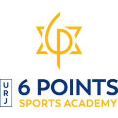 6 Points Sports Academy logo