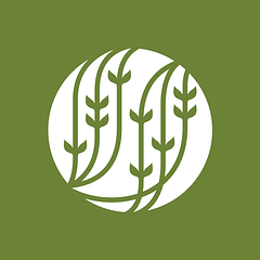 Palais des Thés logo