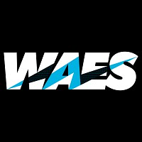 WAES logo