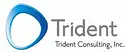Trident Consulting logo