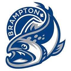  Brampton Steelheads Hockey Club logo