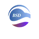 BSD Business Consulting logo