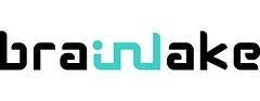 Brainlake Advertising  logo