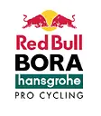 Red Bull logo