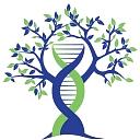 Evexias Health Solutions logo