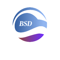 BSD Business Consulting logo