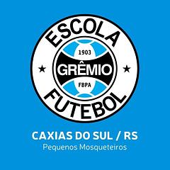 Escola do Grêmio logo