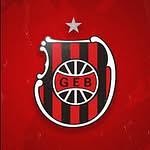 Grêmio Esportivo Brasil logo