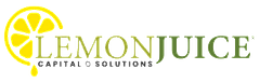 Lemonjuice Solutions logo