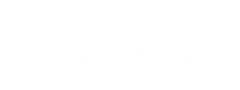 goFLUENT logo
