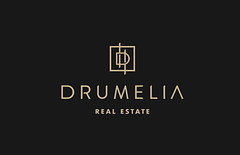 Drumelia Real State logo