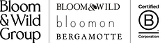 Bloom & Wild Group logo