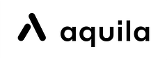 Aquila Software Group logo