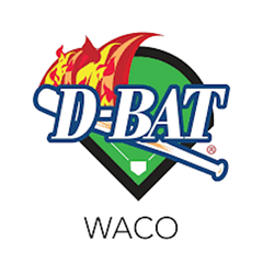 VFG Sports Performance logo